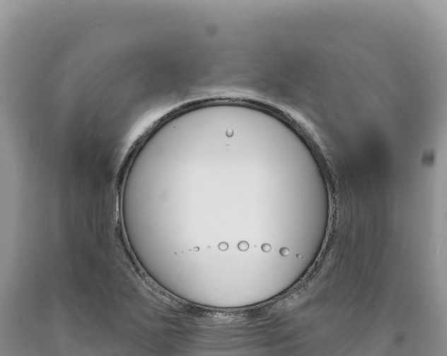 X0000090891271200707271031