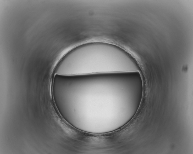 X0000090891272200707271031