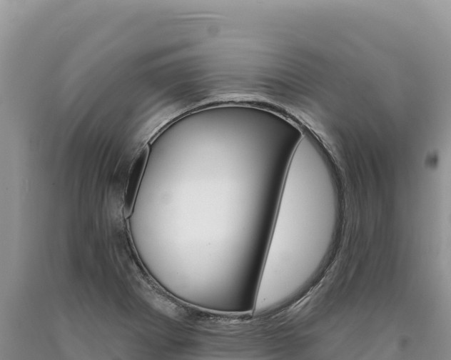 X0000090891273200707271031