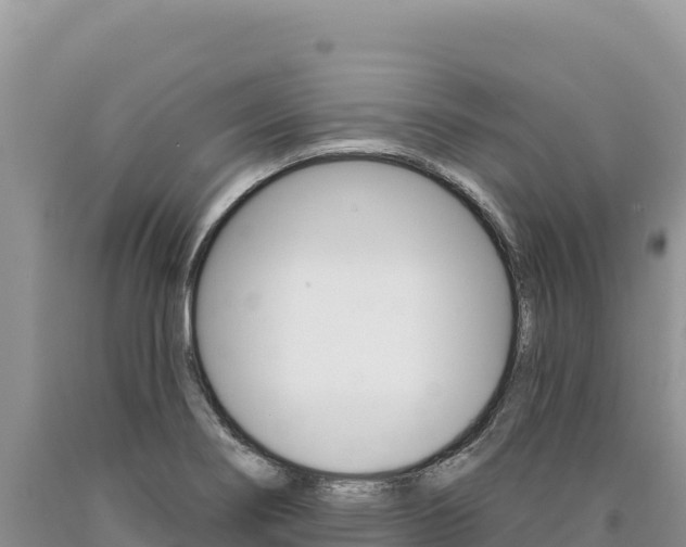 X0000090891274200707271031
