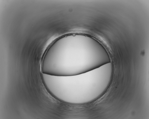 X0000090891275200707271031