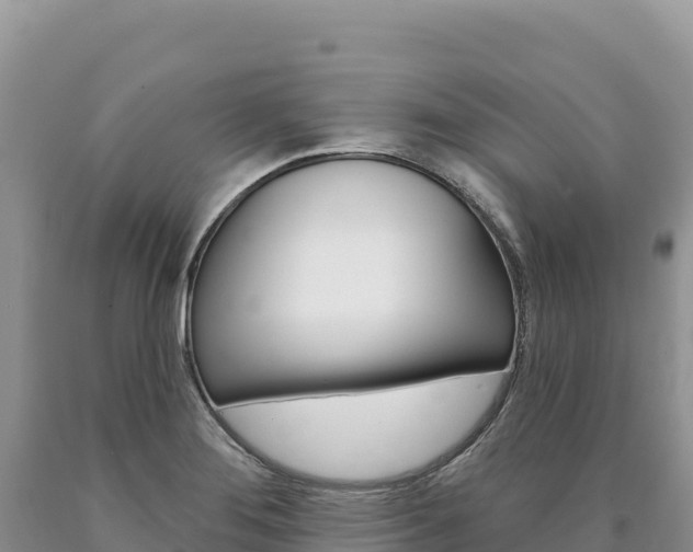 X0000090891276200707271031