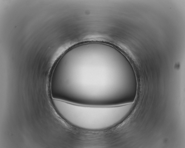 X0000090891277200707271030