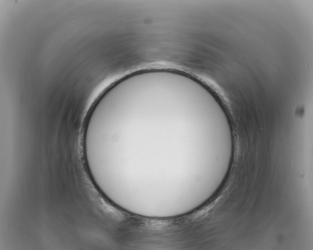 X0000090891278200707271030