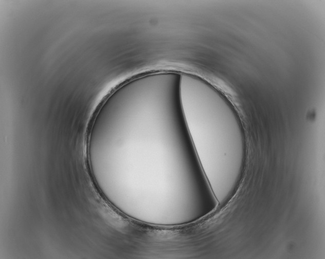 X0000090891280200707271030