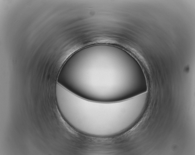 X0000090891281200707271030