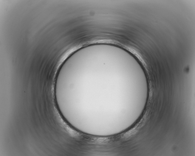 X0000090891282200707271030