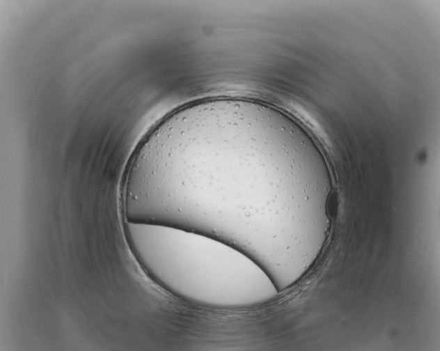 X0000090891283200707271030