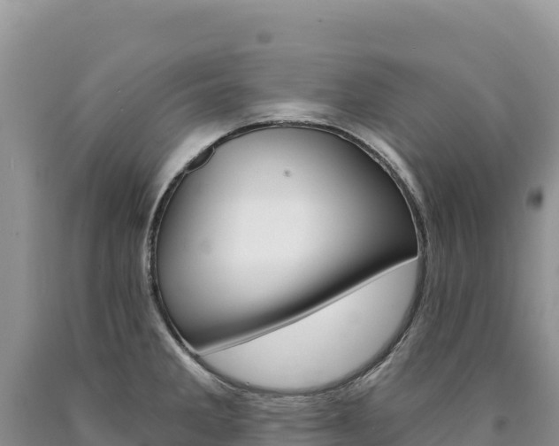 X0000090891285200707271030