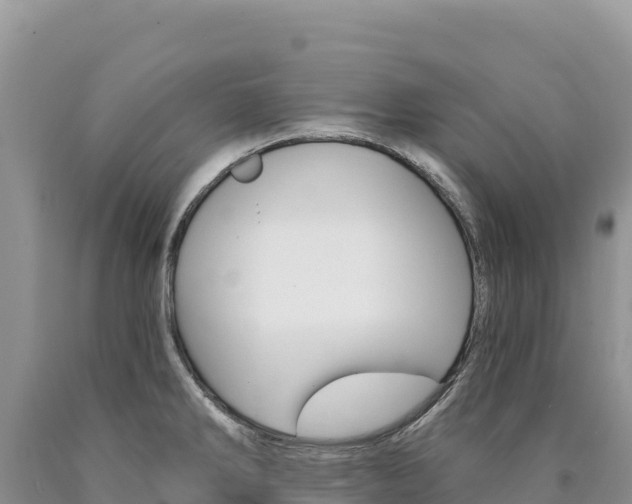 X0000090891286200707271030