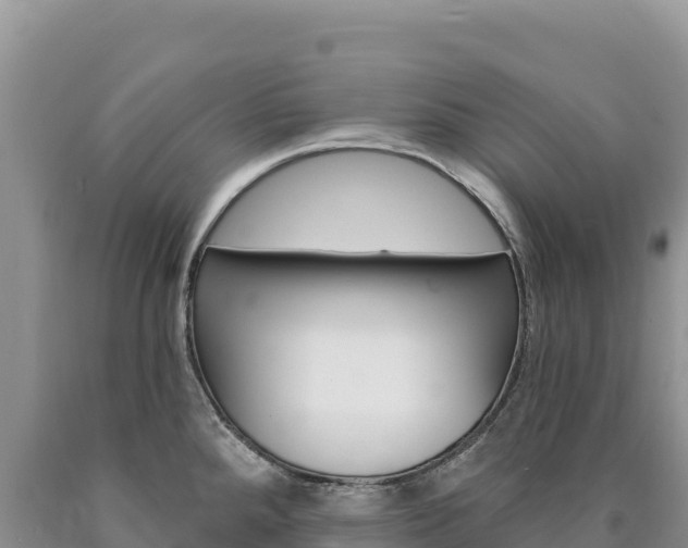 X0000090891288200707271030