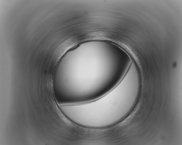 X0000090891289200707271030