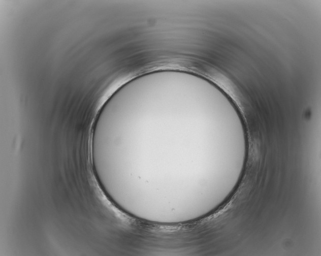 X0000090891290200707271030