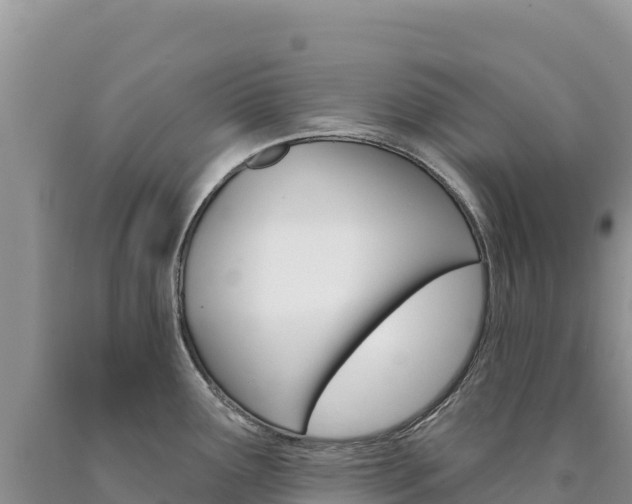 X0000090891291200707271030