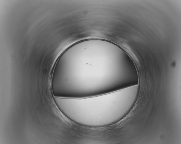 X0000090891292200707271030