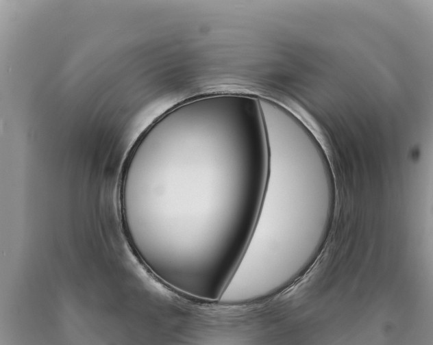 X0000090891293200707271030