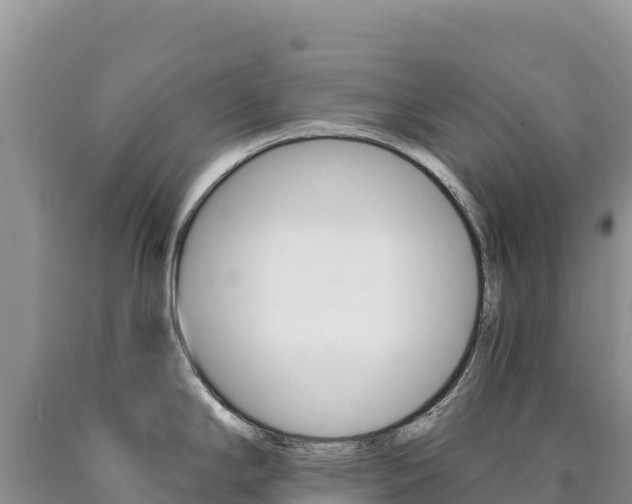 X0000090891294200707271030