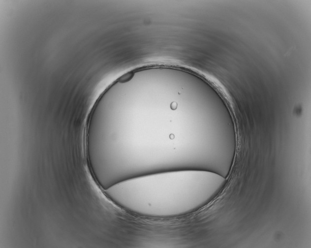 X0000090891295200707271030