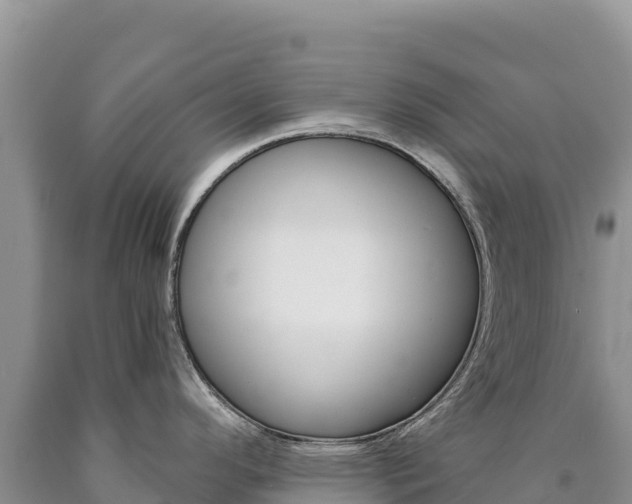 X0000090891296200707271030