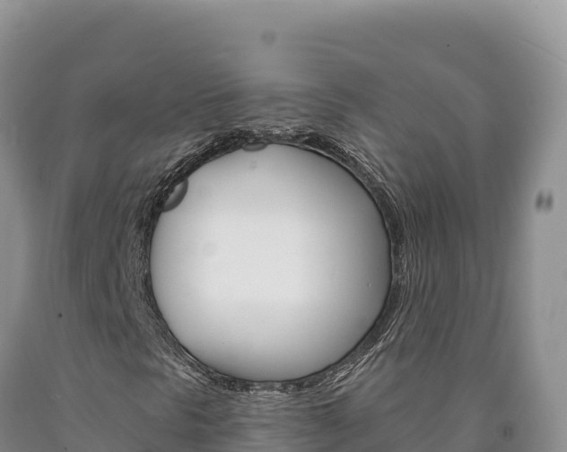 X0000090891297200707271030