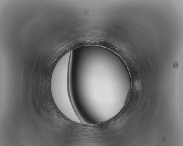 X0000090891300200707271030