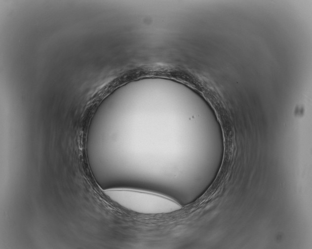 X0000090891301200707271030