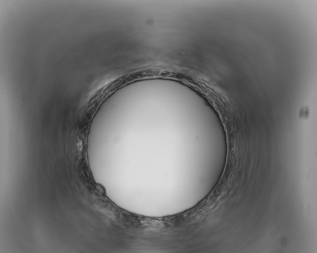 X0000090891302200707271030
