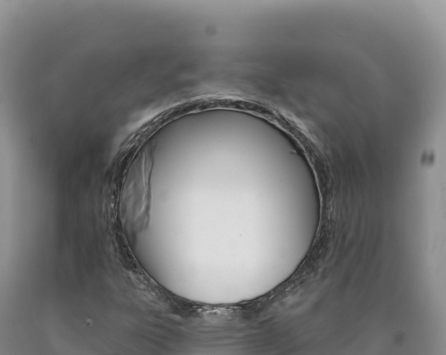 X0000090891303200707271030