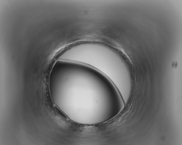 X0000090891304200707271030