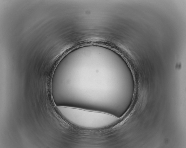 X0000090891305200707271030