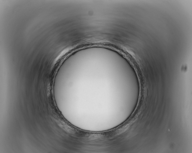 X0000090891306200707271030