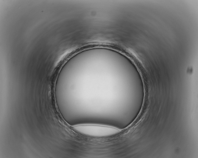 X0000090891307200707271030
