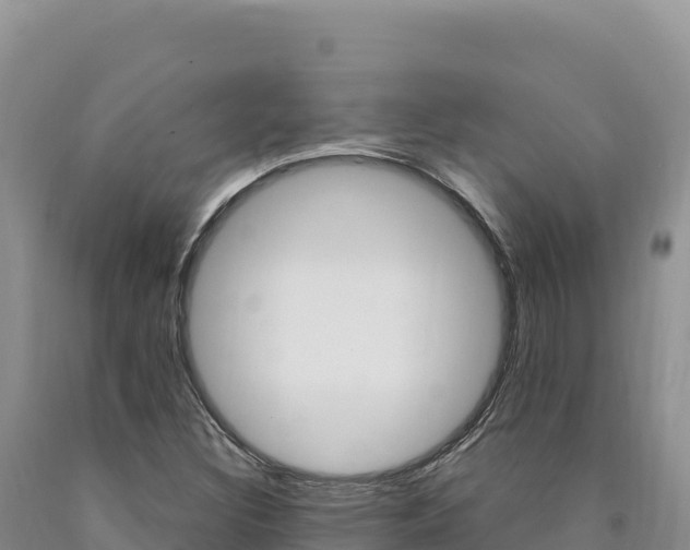 X0000090891308200707271030