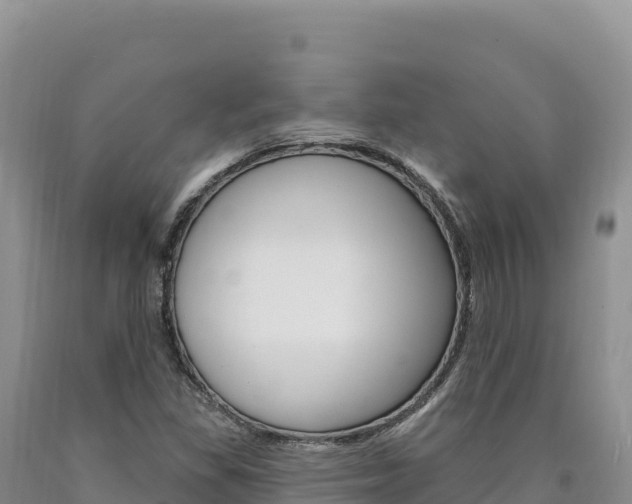 X0000090891309200707271030