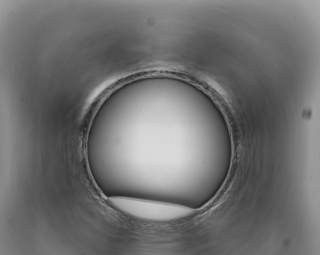 X0000090891310200707271030
