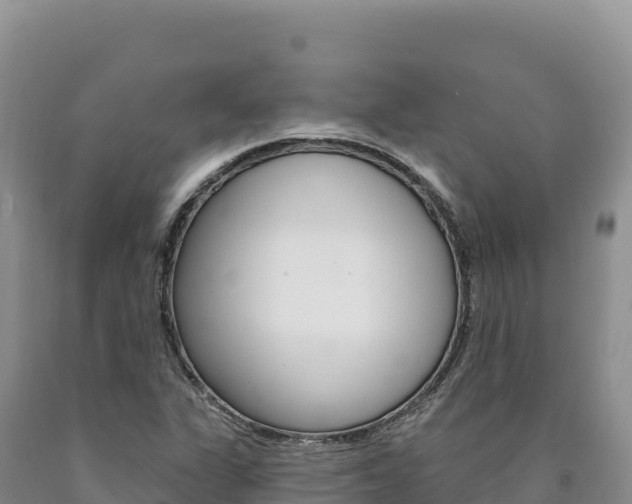 X0000090891311200707271030