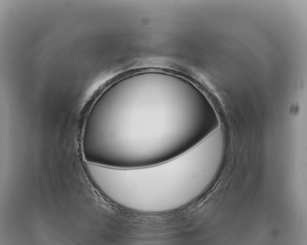 X0000090891312200707271030