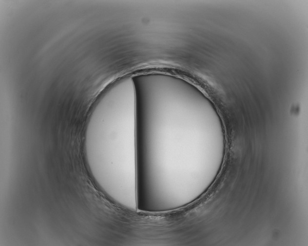 X0000090891313200707271030