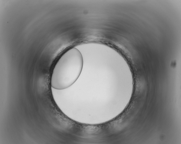 X0000090891314200707271030