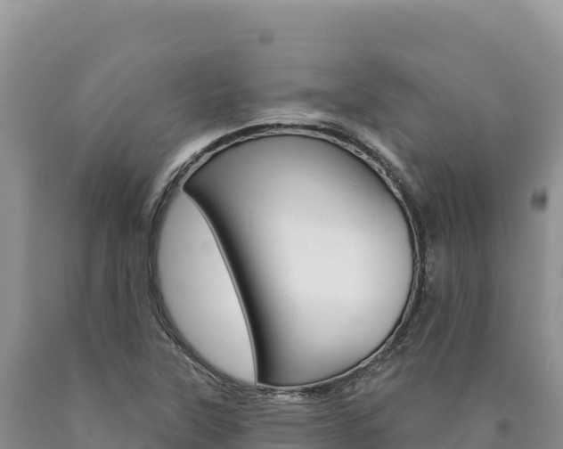 X0000090891315200707271030