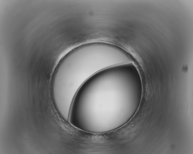 X0000090891316200707271030