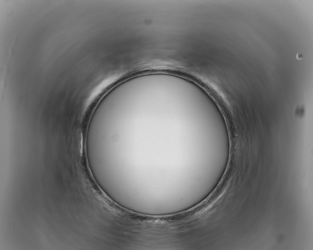 X0000090891317200707271030