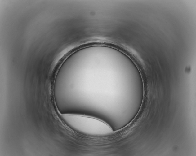X0000090891318200707271030