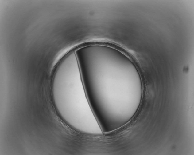 X0000090891319200707271030
