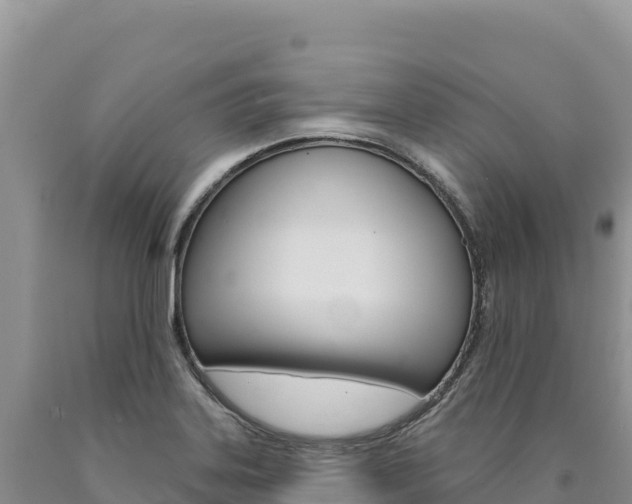 X0000090891323200707271030