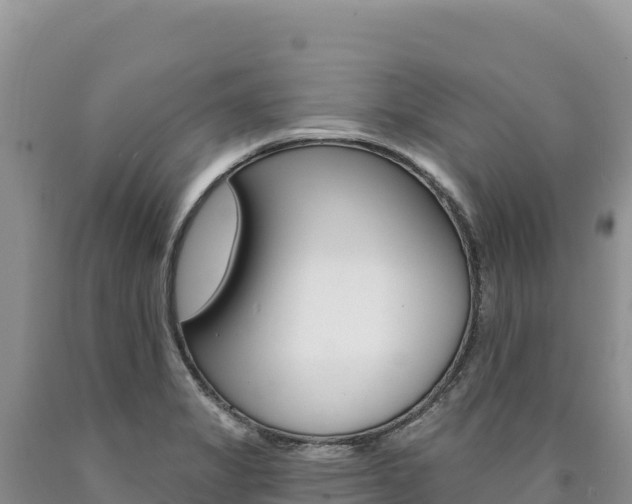 X0000090891325200707271030
