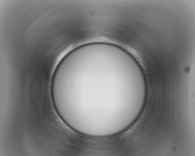 X0000090891326200707271030