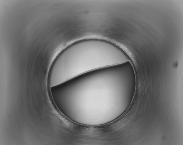 X0000090891327200707271030