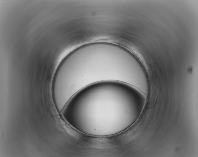 X0000090891328200707271030