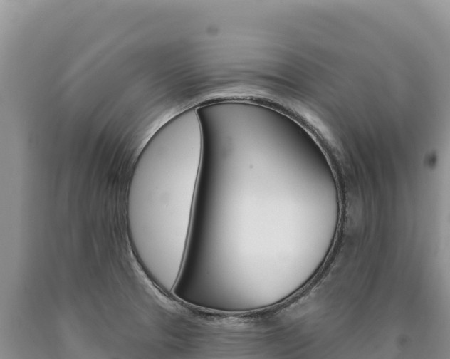 X0000090891329200707271030